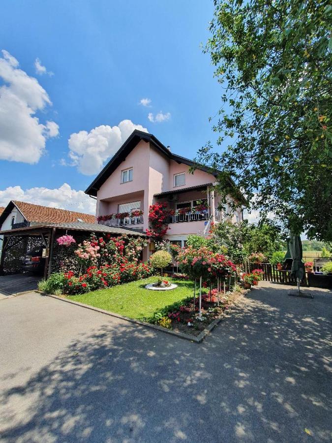 Apartman Vesna Bjelovar Zewnętrze zdjęcie